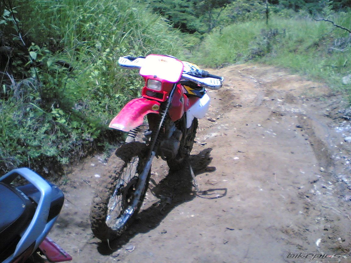 Bike Photo 954512