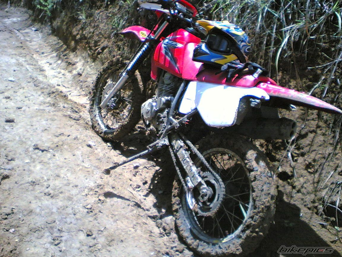 Bike Photo 954518
