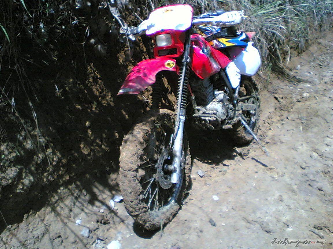 Bike Photo 954529
