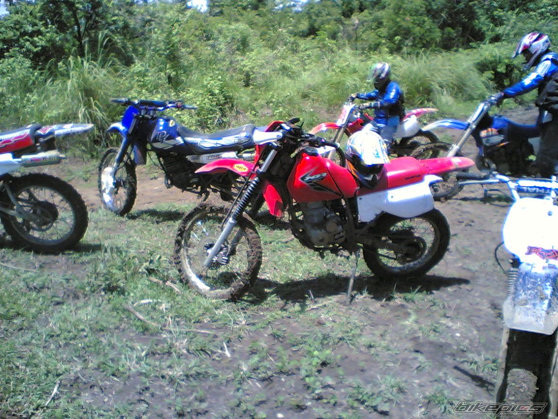 Bike Photo 954534