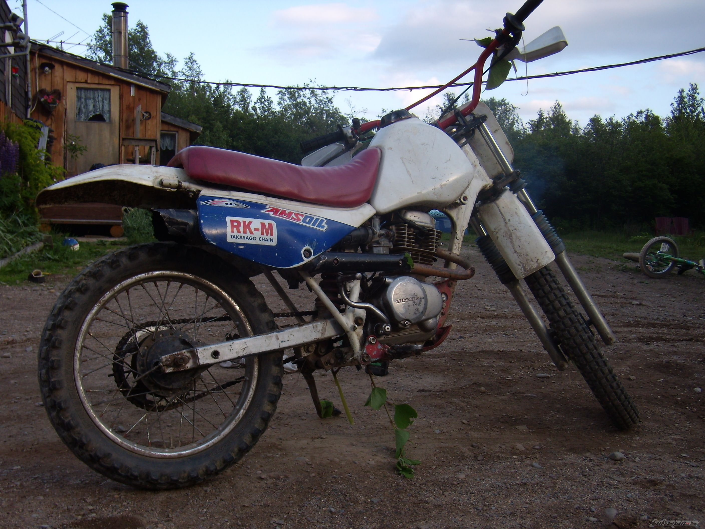 Photo 954833