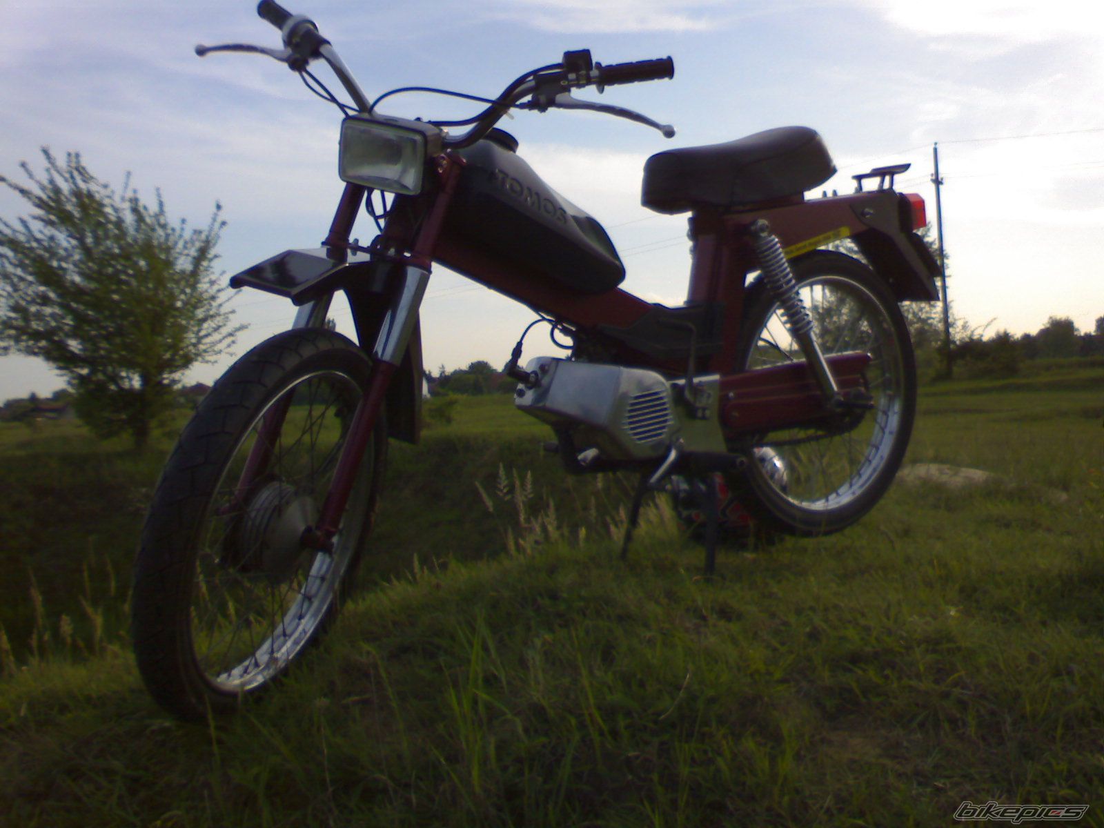 Photo 954848