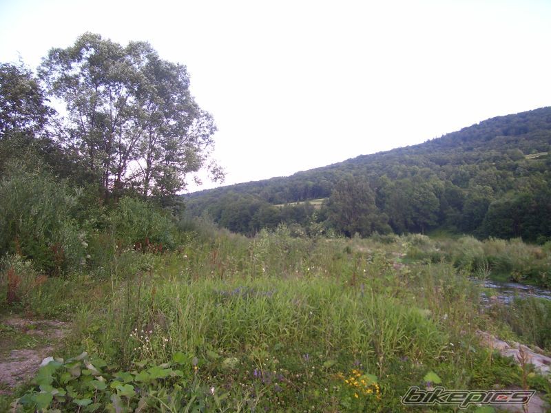 Photo 954852
