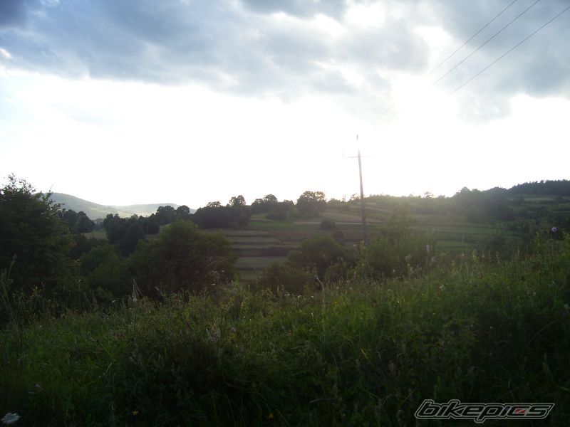 Photo 954867