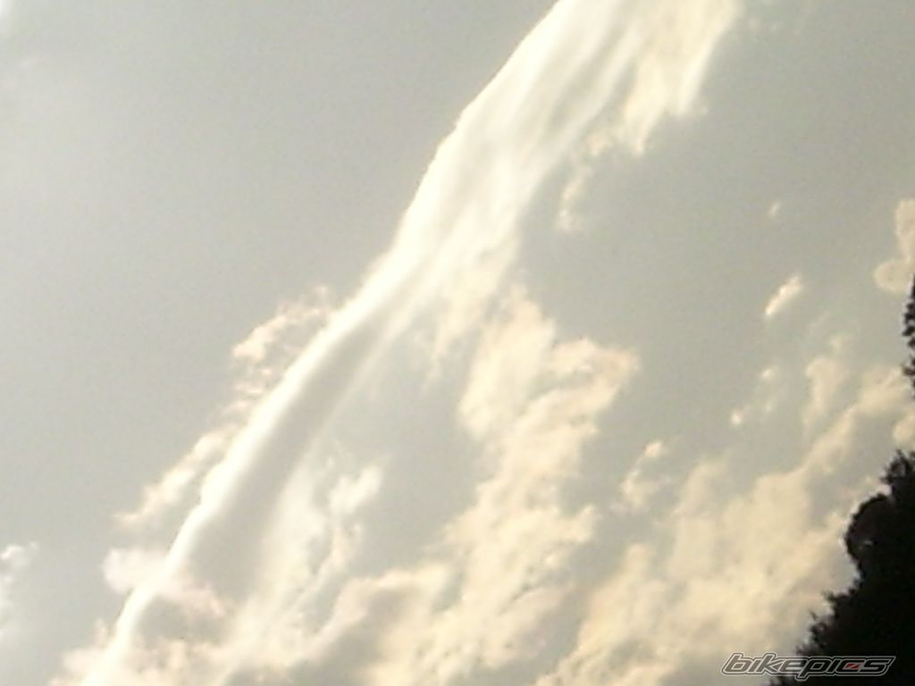 Photo 954905