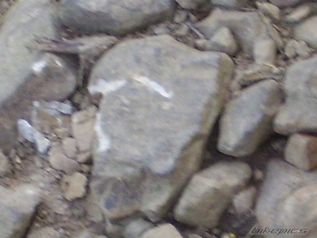 Photo 954917