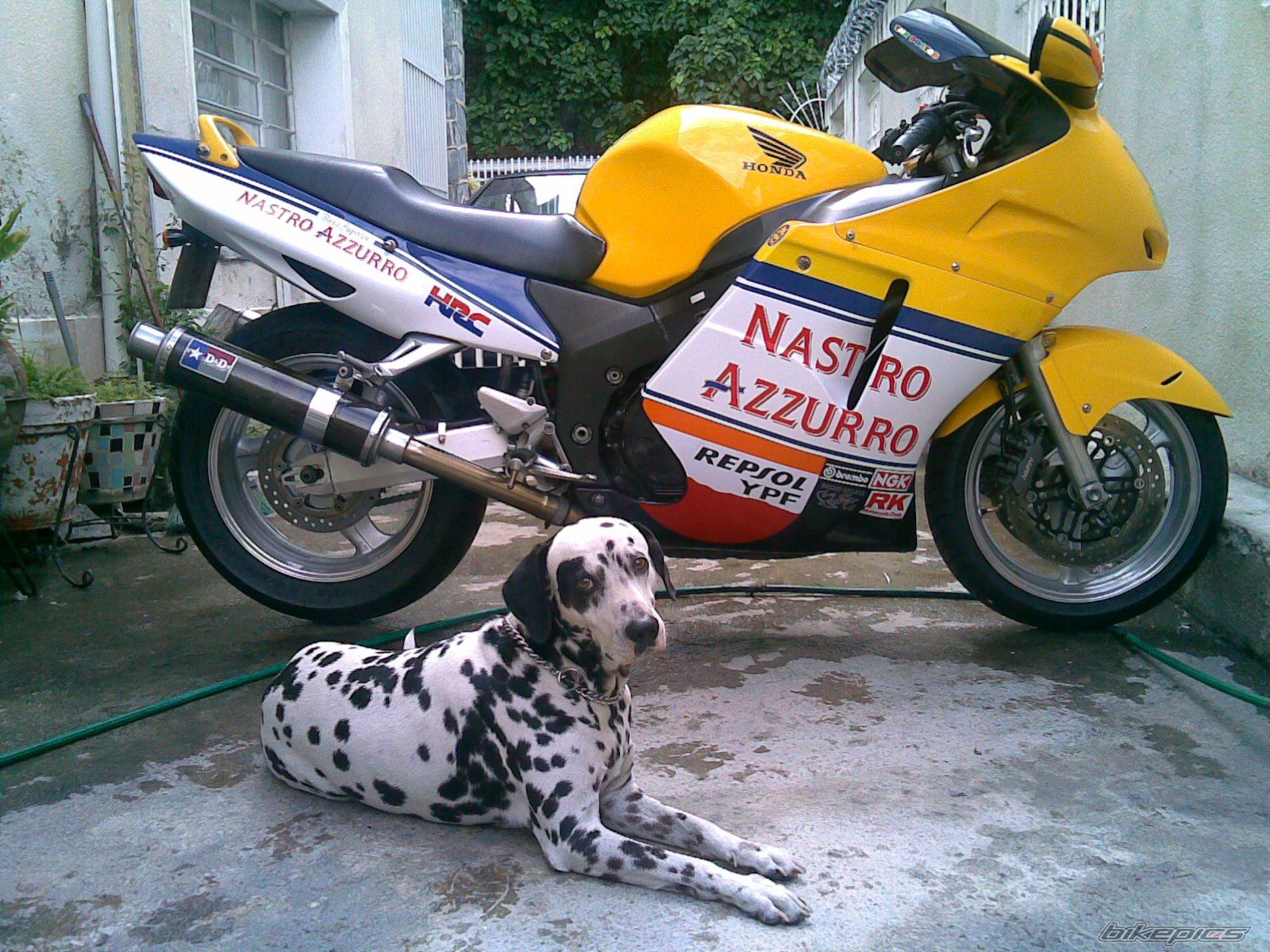 Bike Photo 954970