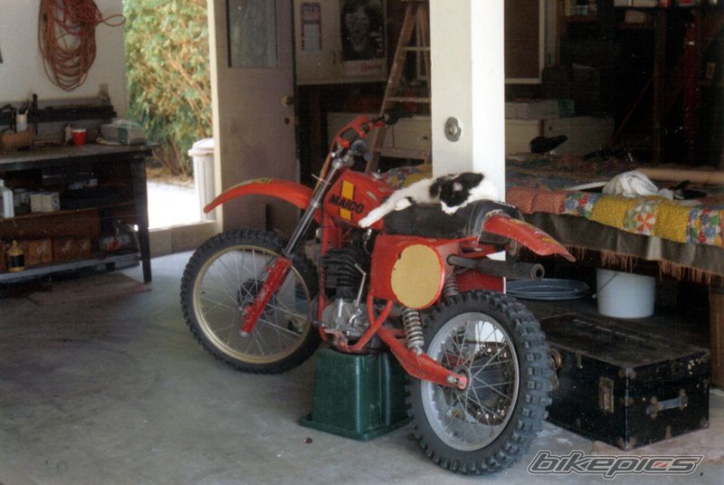 Bike Photo 955175