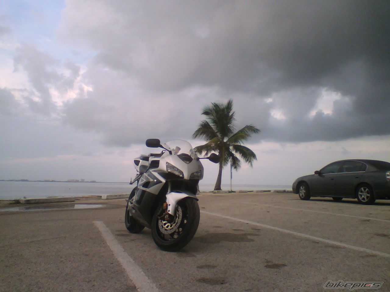 Photo 955230