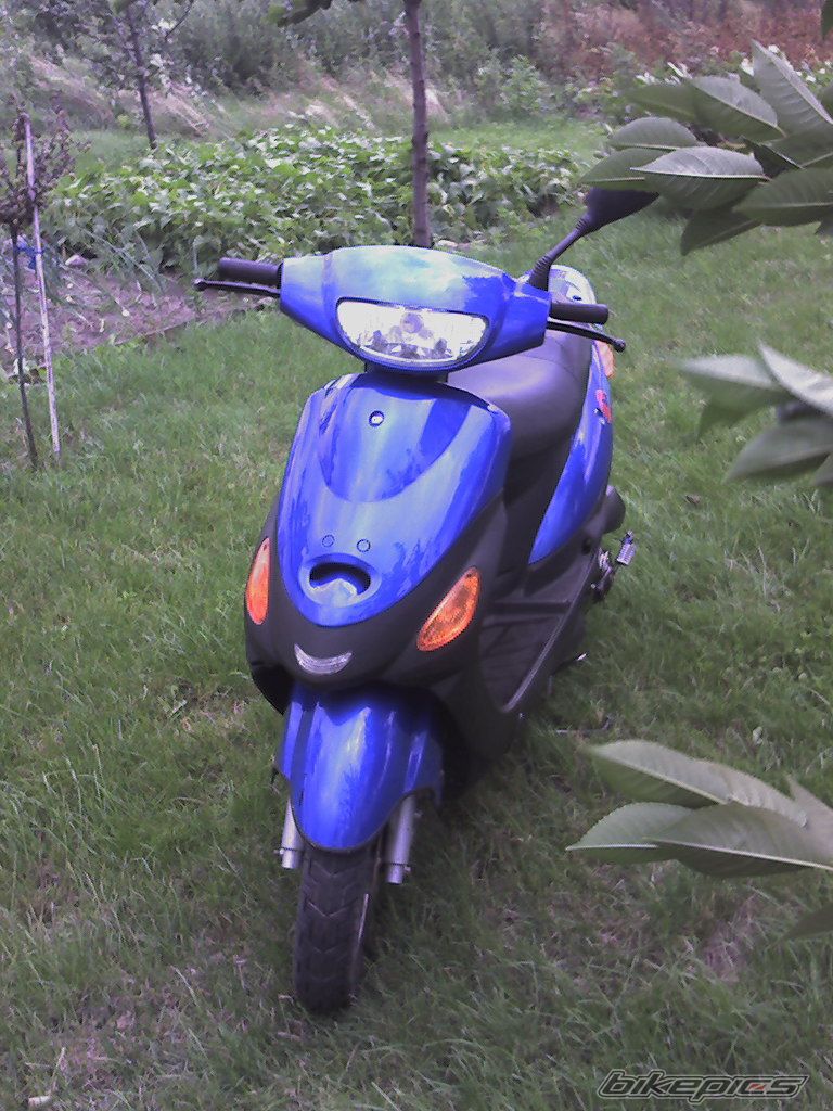 Photo 955373