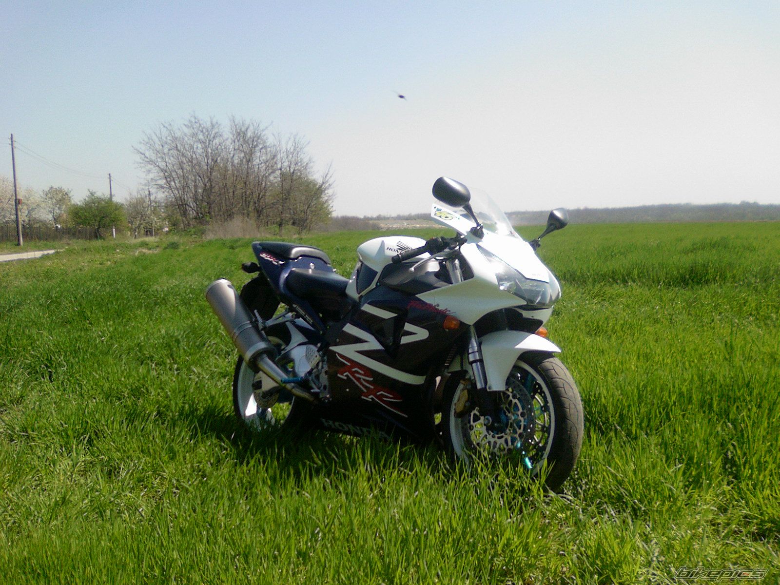 Bike Photo 955384