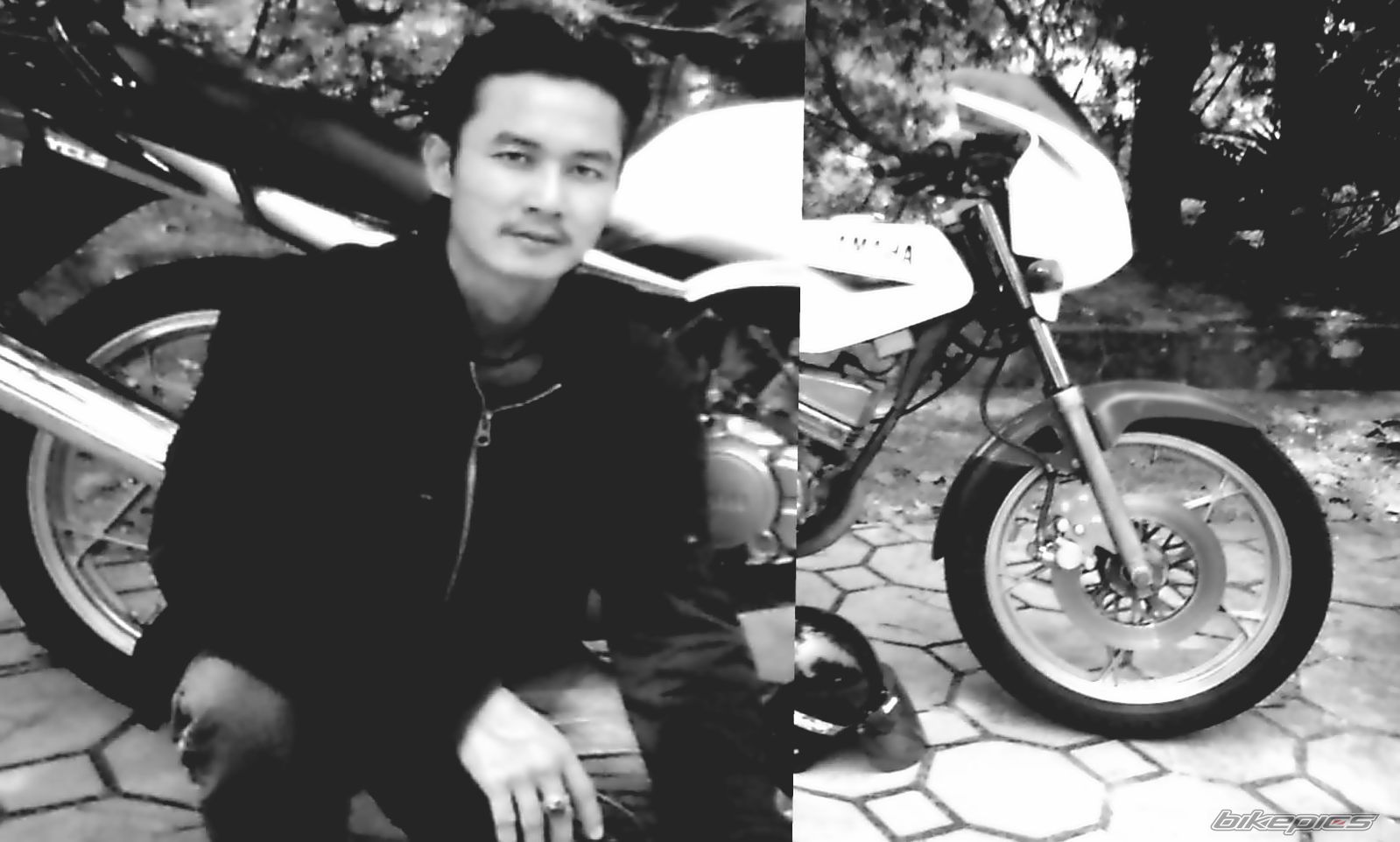Bike Photo 955475