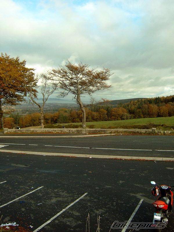 Bike Photo 95553