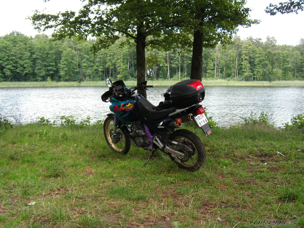 Photo 955663
