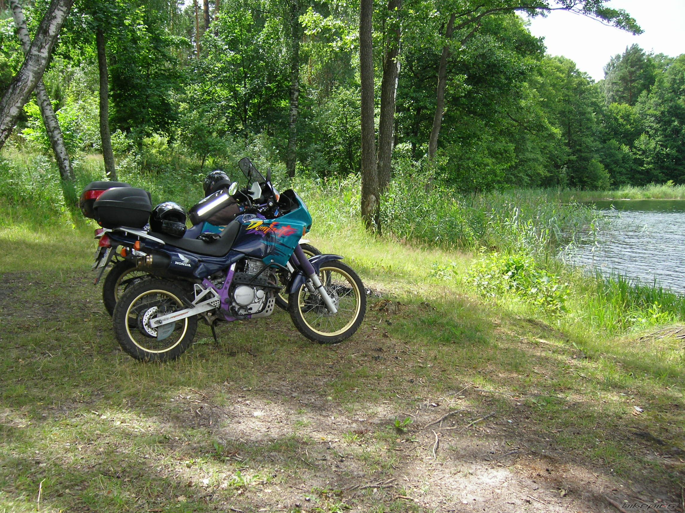 Photo 955665