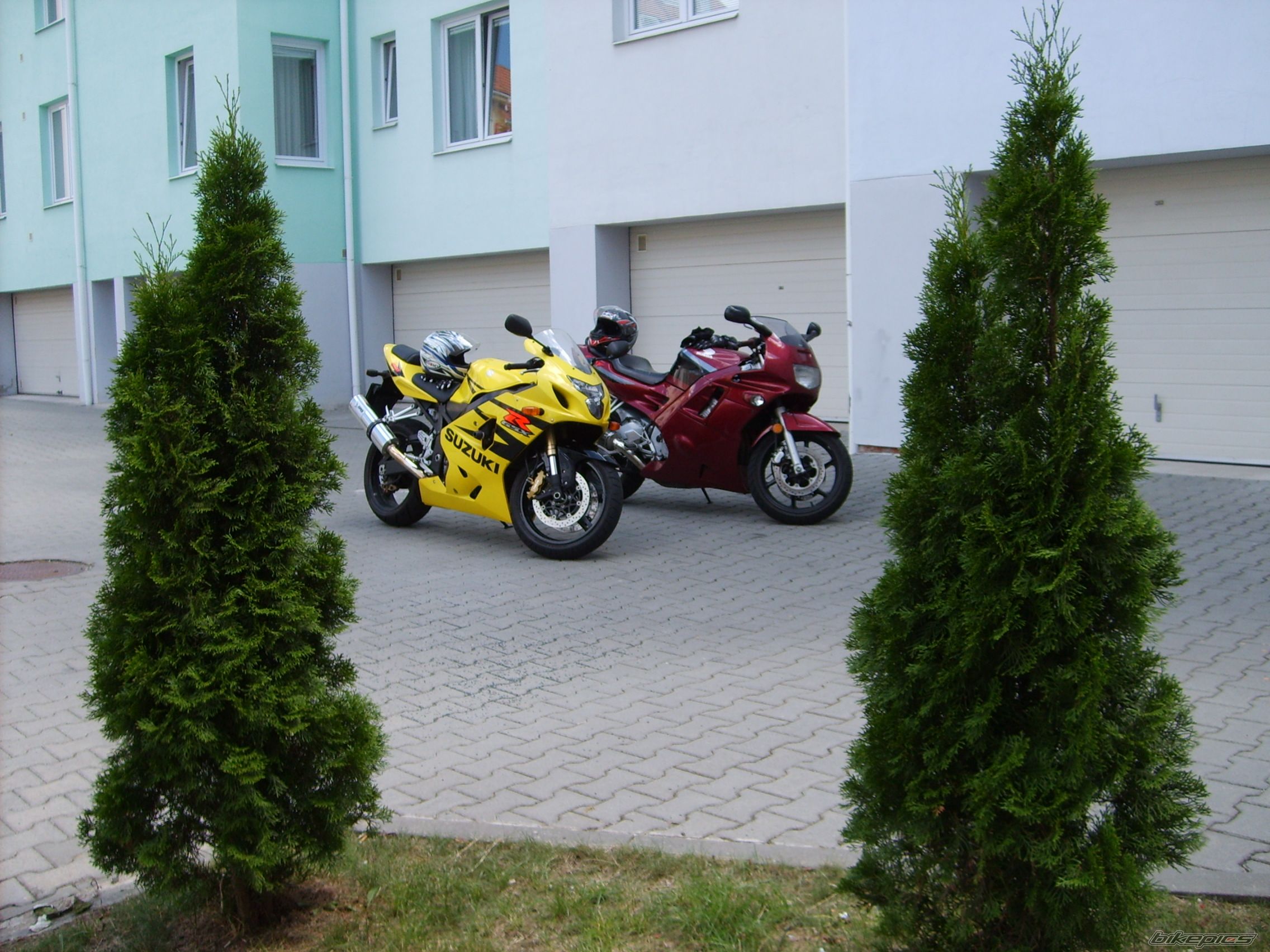 Photo 955855