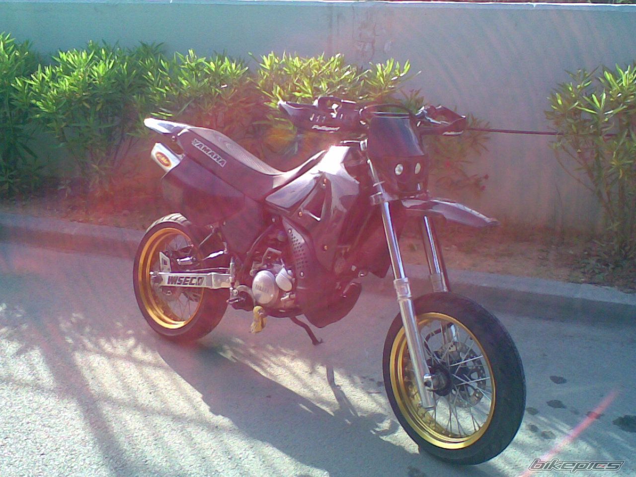 Bike Photo 955961