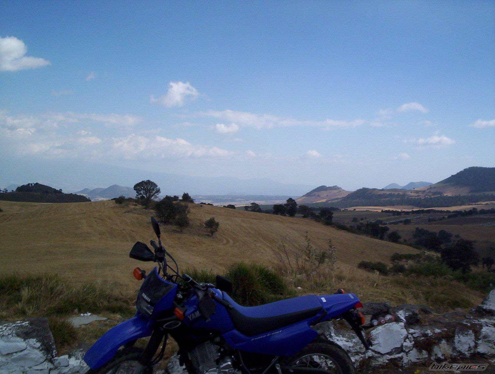 Photo 95616