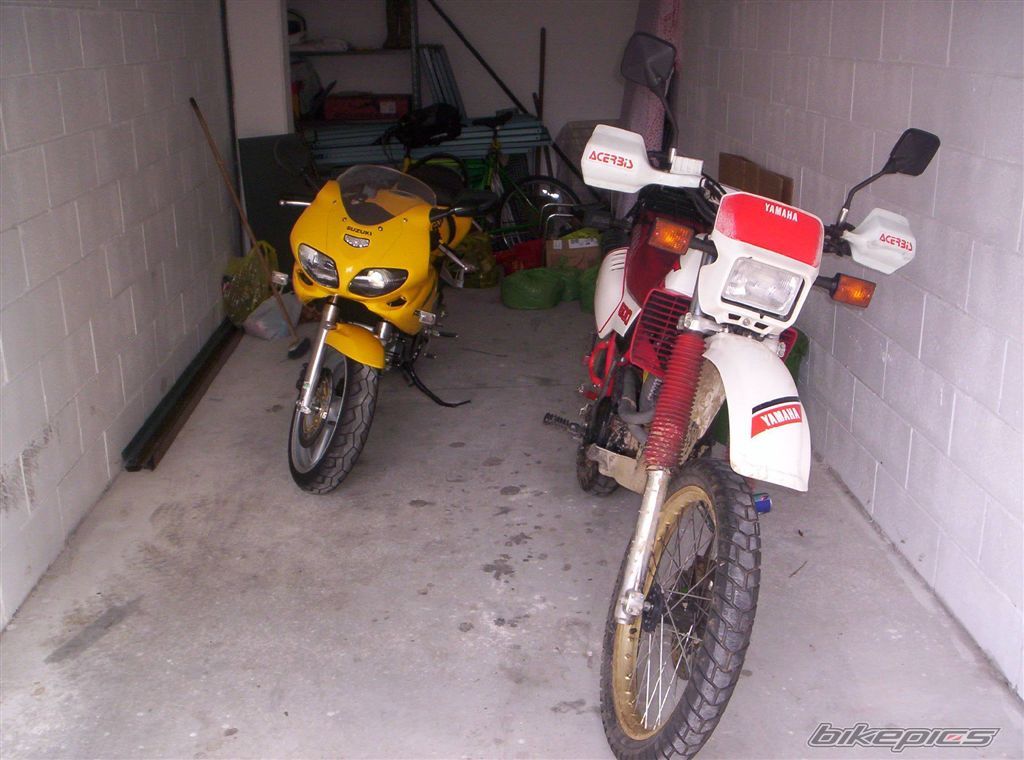Photo 956529