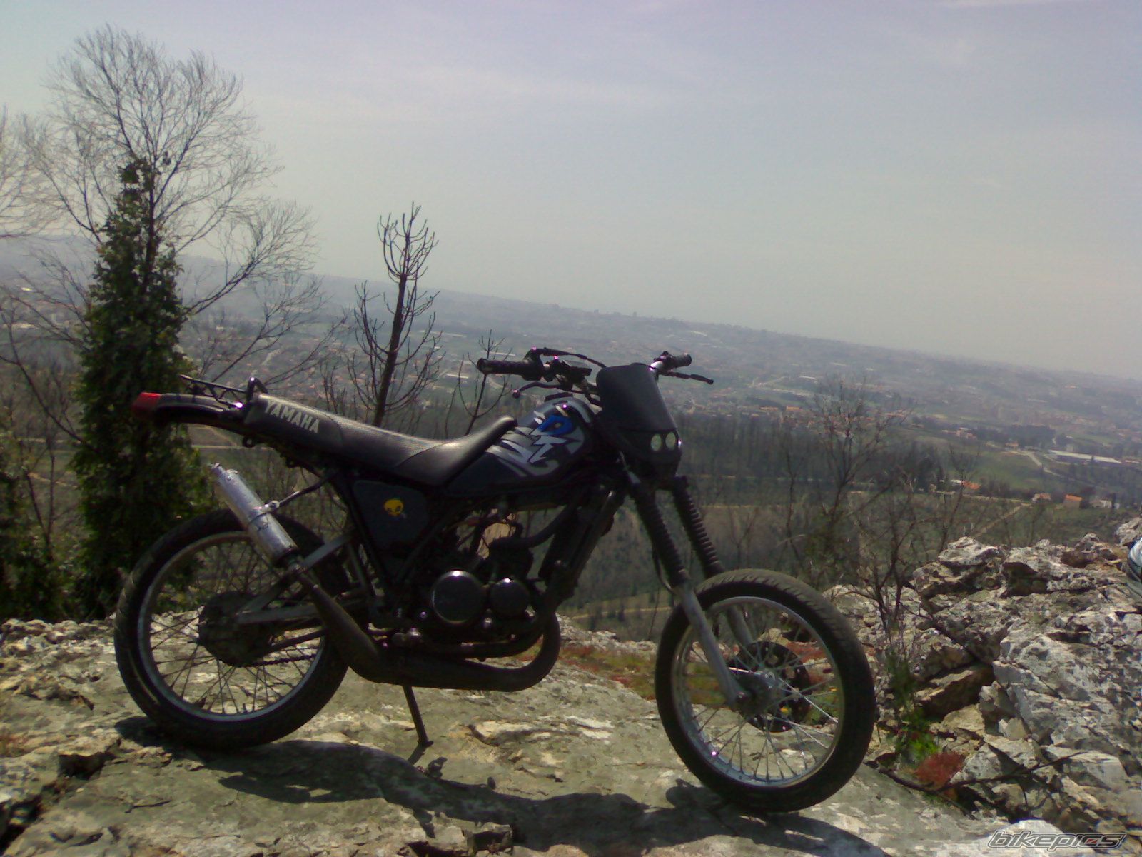 Photo 956946