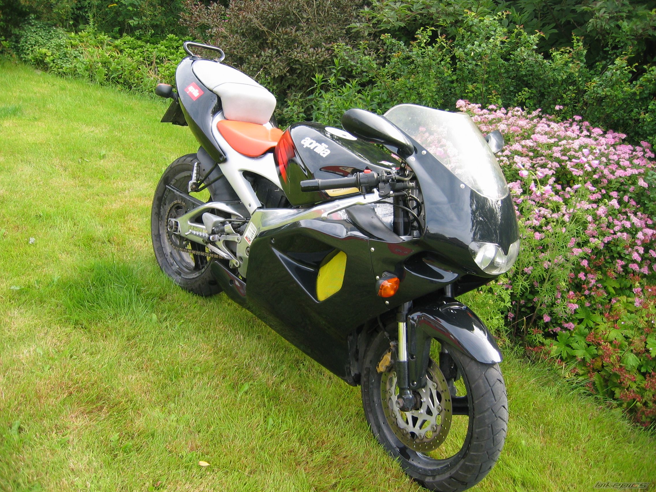 Bike Photo 957016