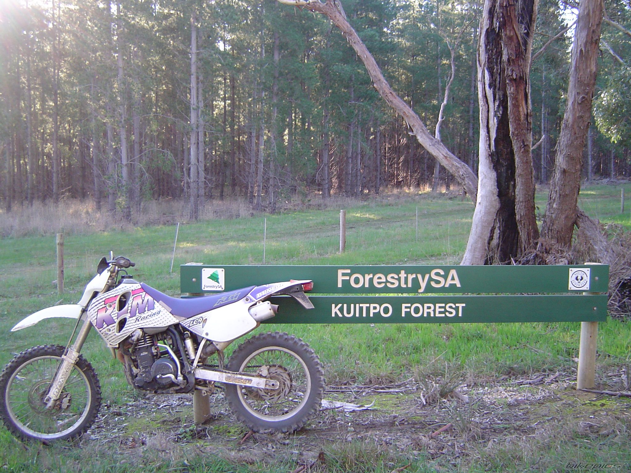 Photo 957439