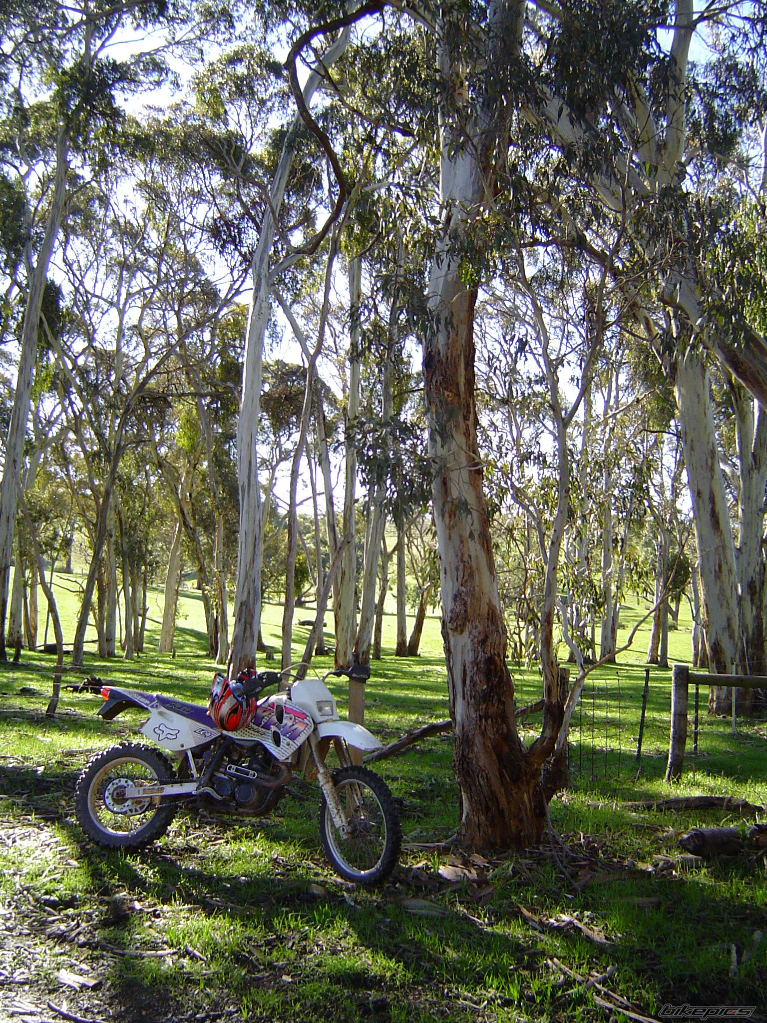 Photo 957441