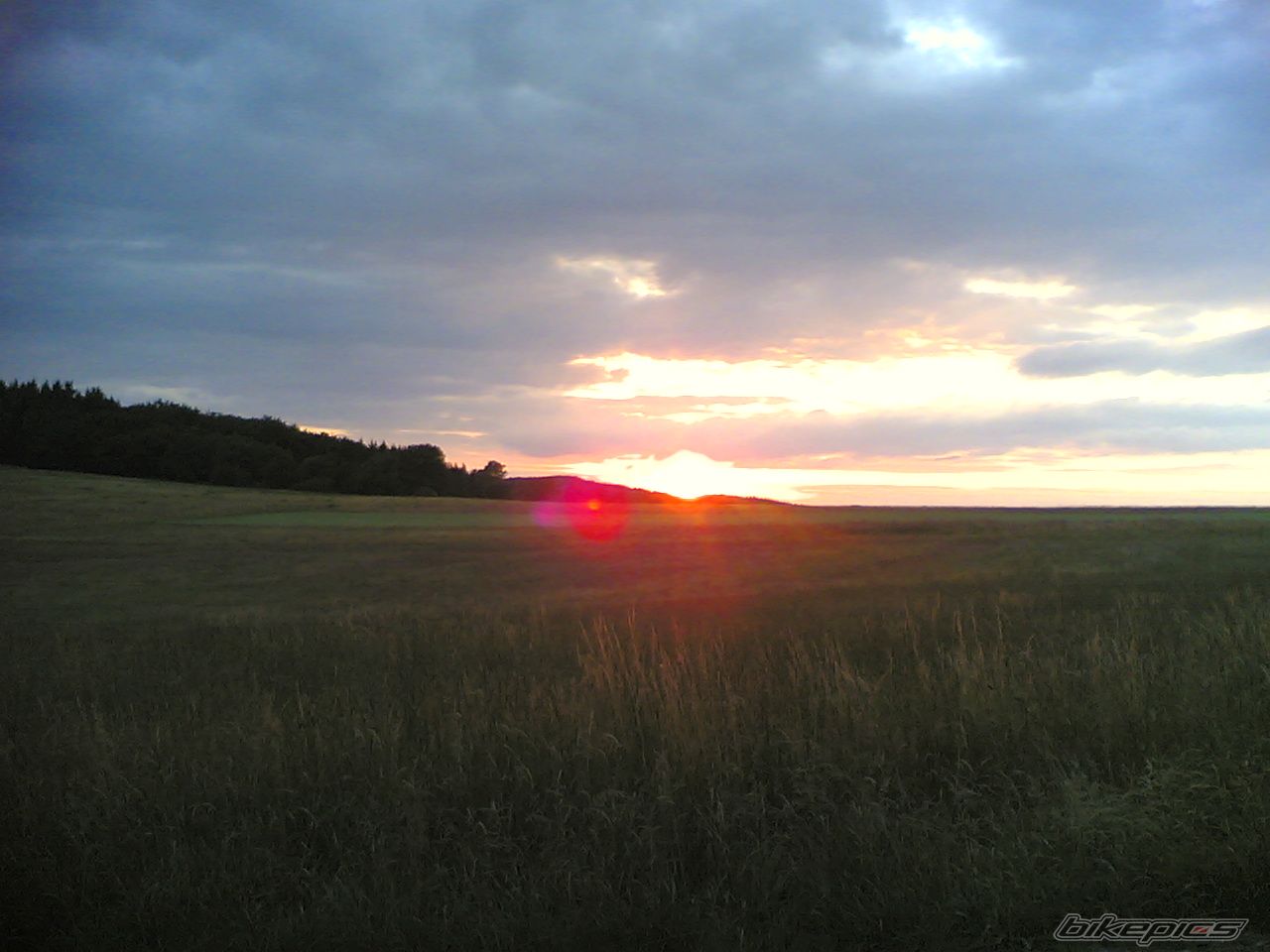 Photo 958043