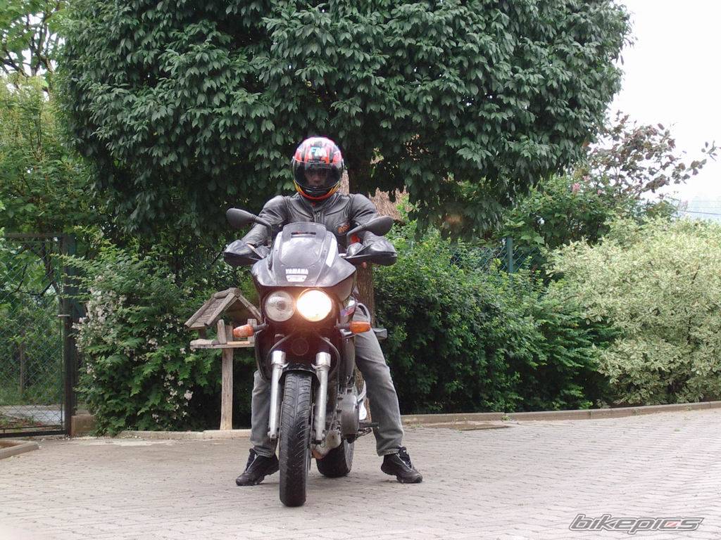 Photo 95839