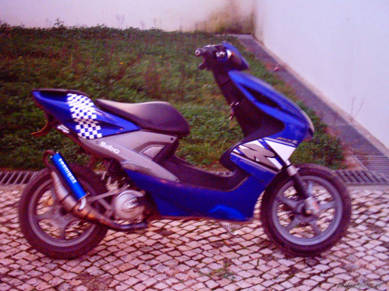 Photo 95902