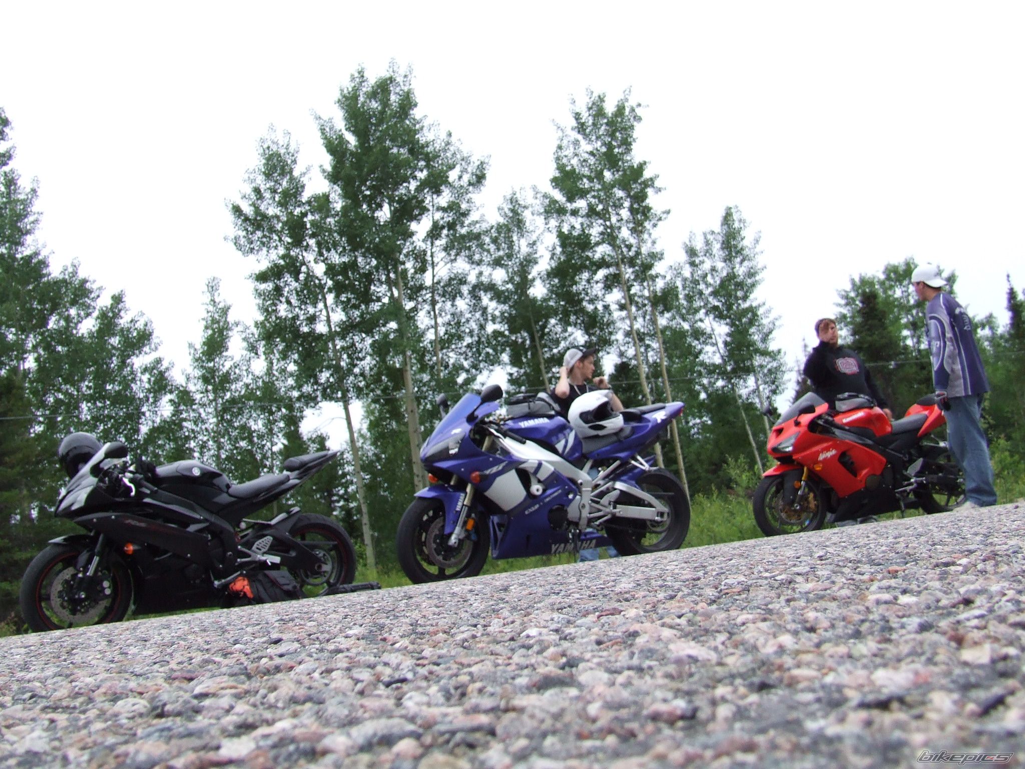 Photo 959613