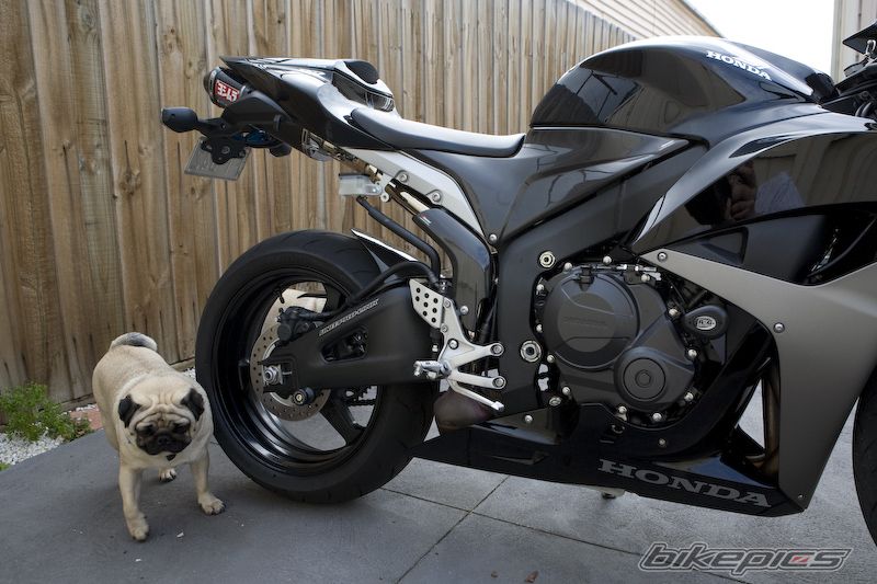 Bike Photo 959625