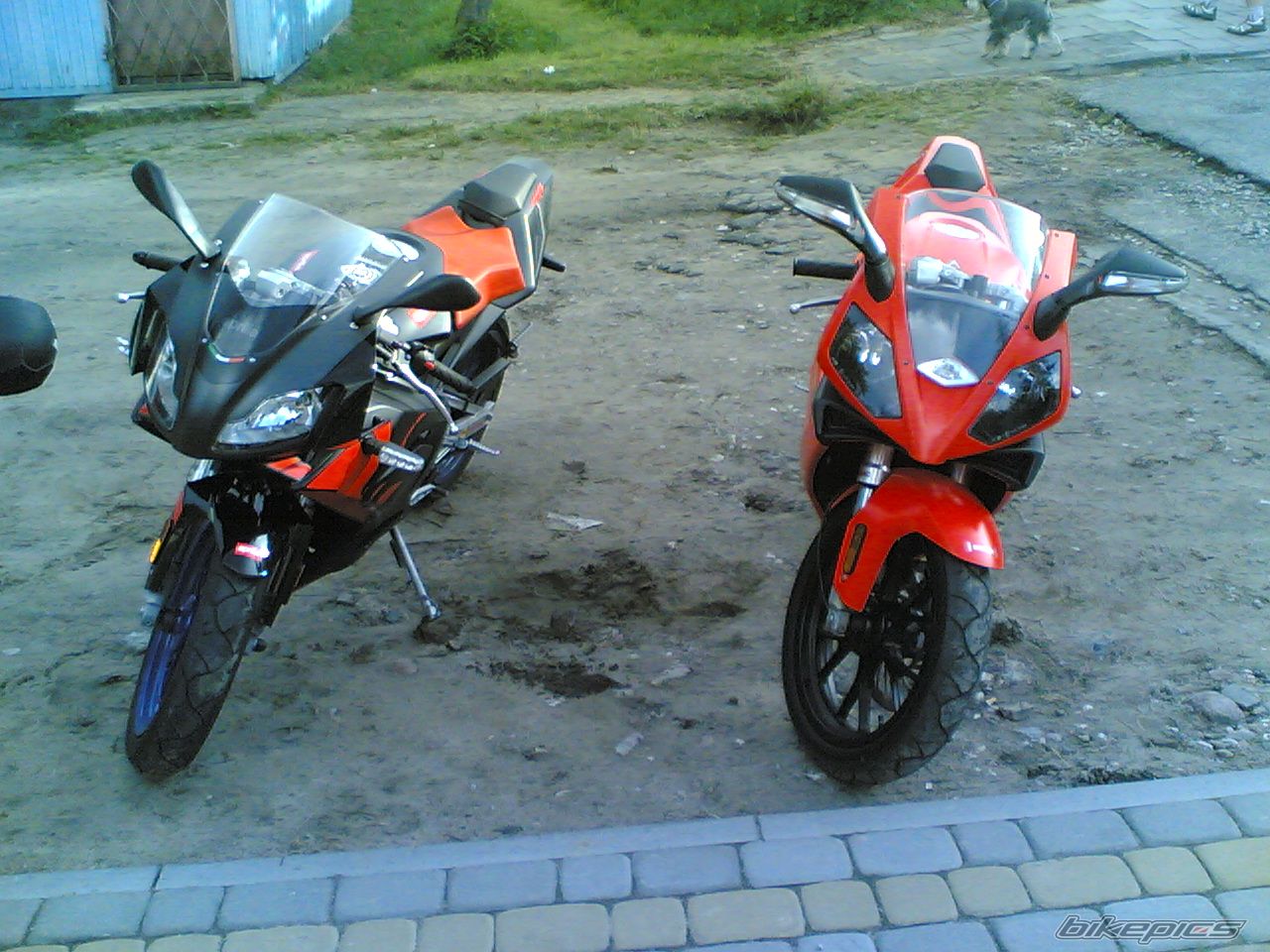 Photo 959954