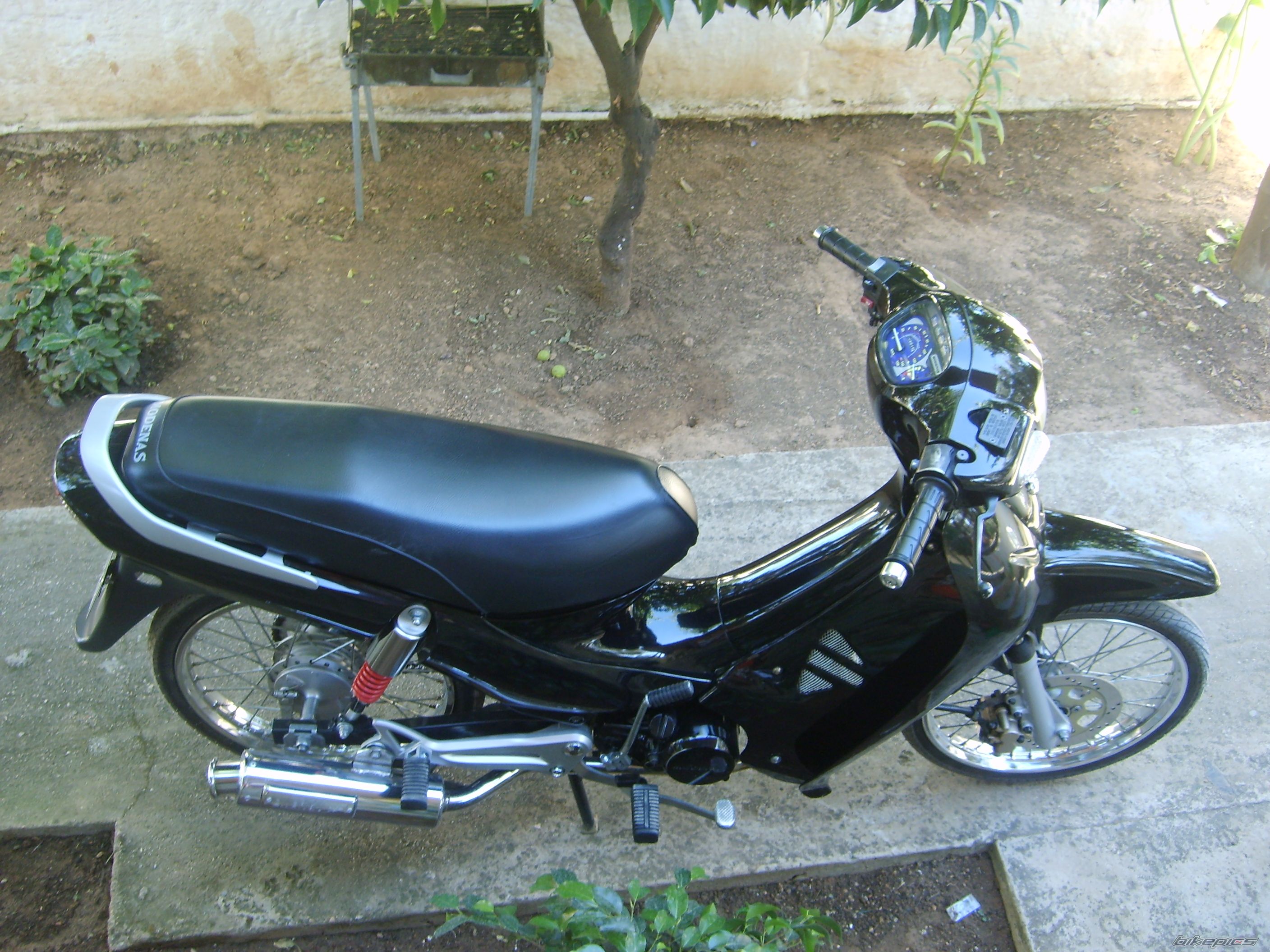 Photo 960151