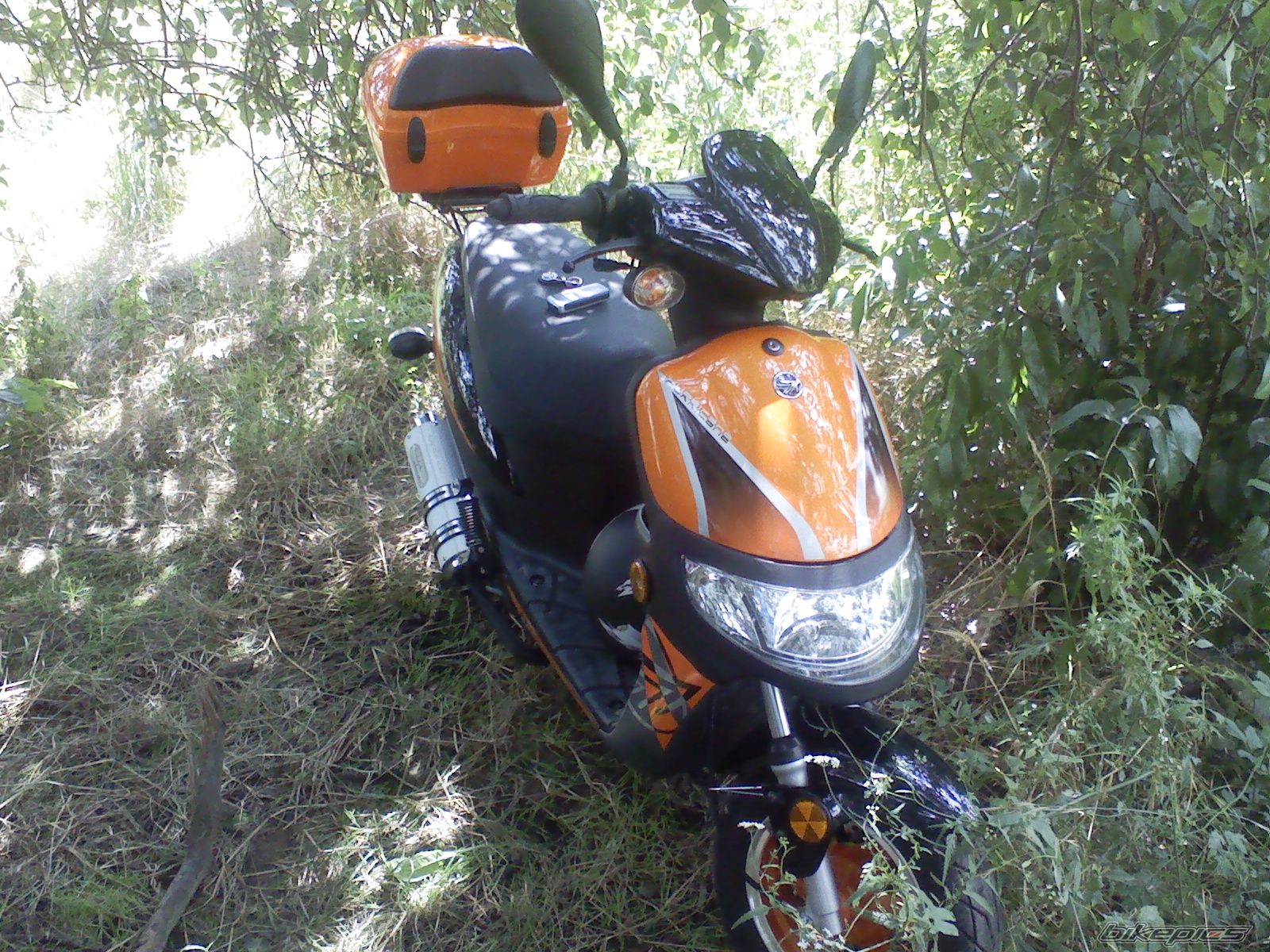 Photo 960799