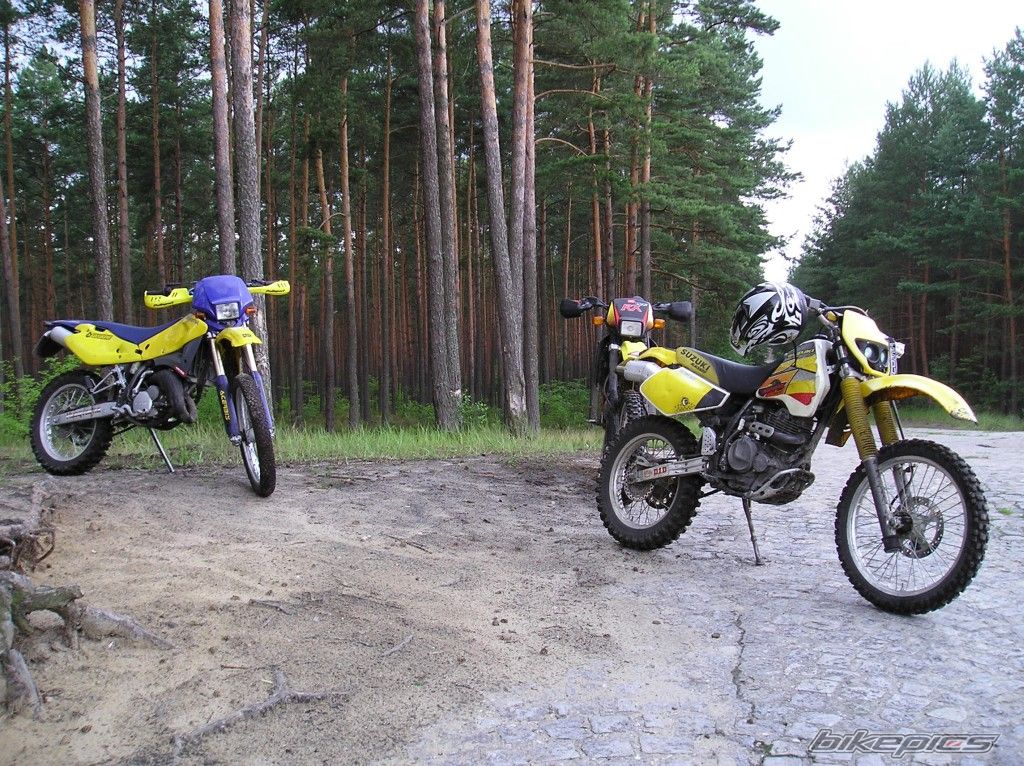 Photo 960895