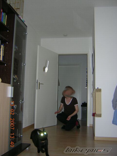 Photo 960952