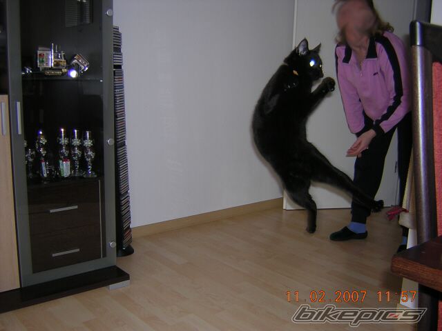 Photo 960954