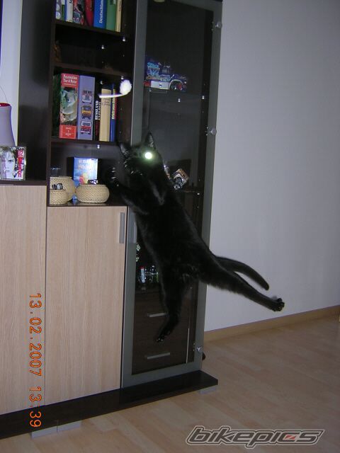 Photo 960956