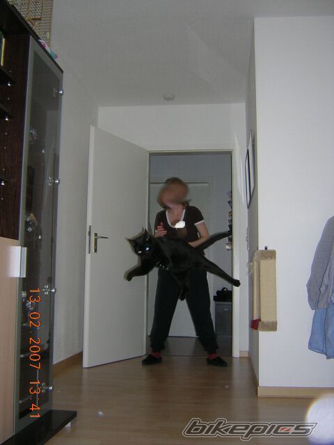 Photo 960957