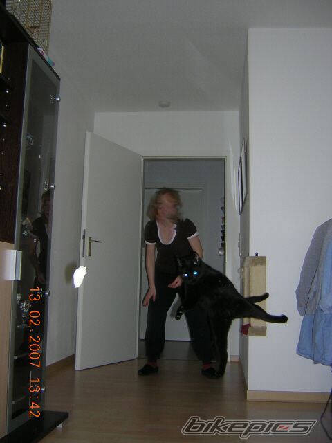 Photo 960959