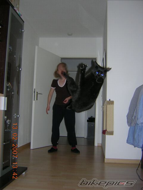 Photo 960960
