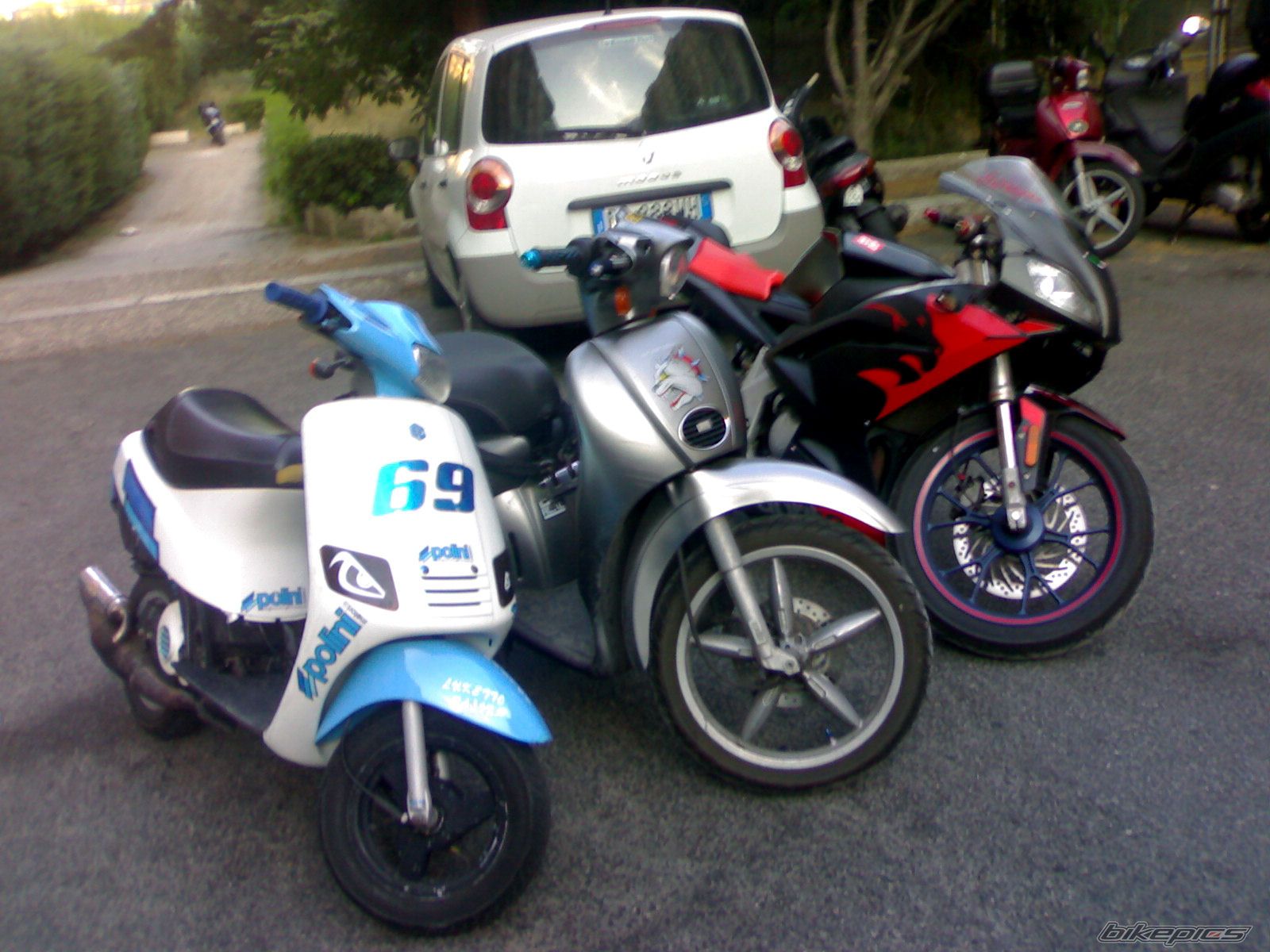 Photo 961314