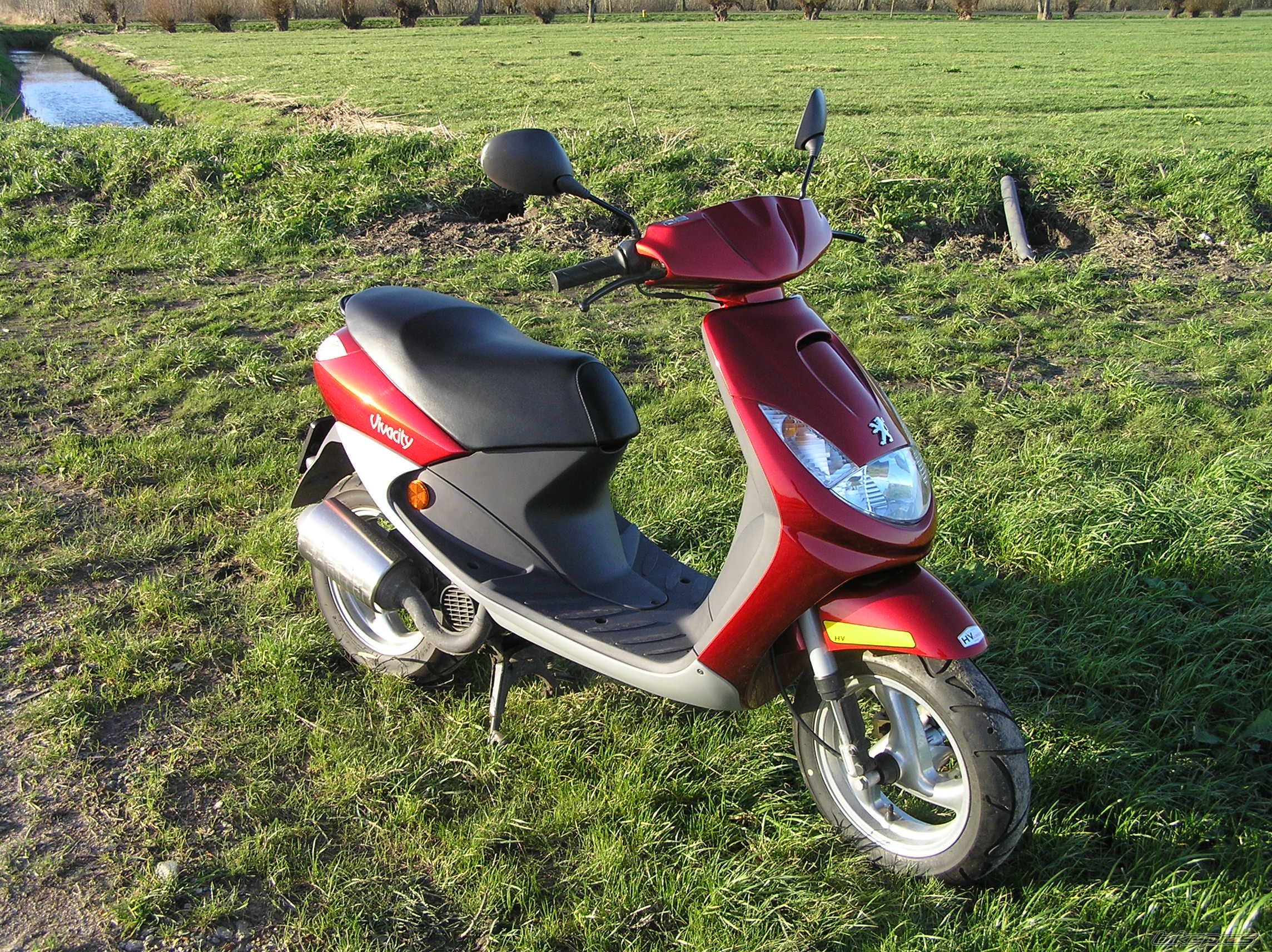 Photo 961331