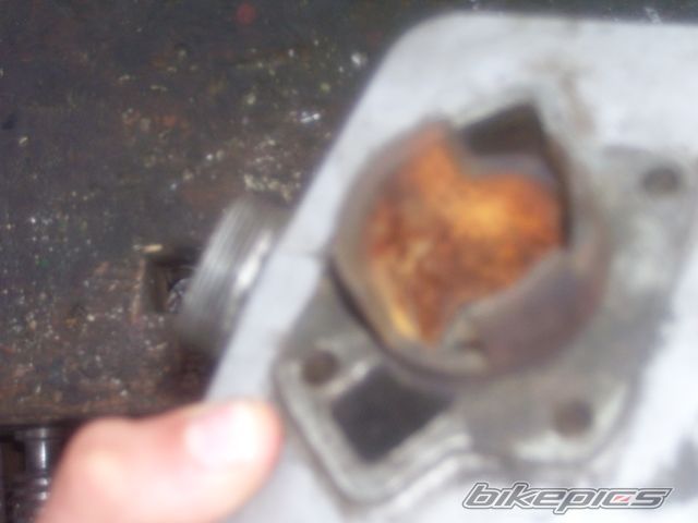 Photo 961348