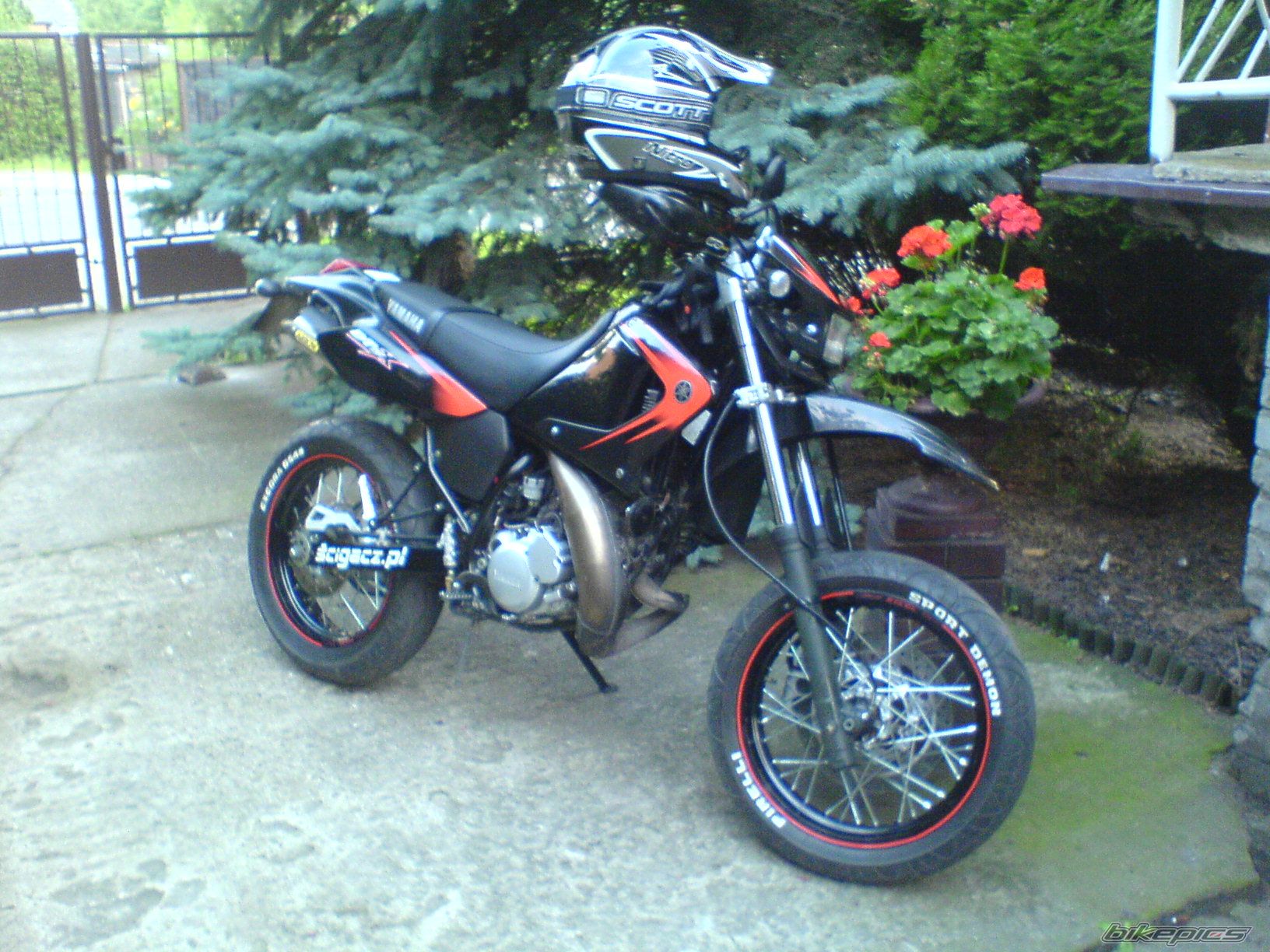 Photo 961452