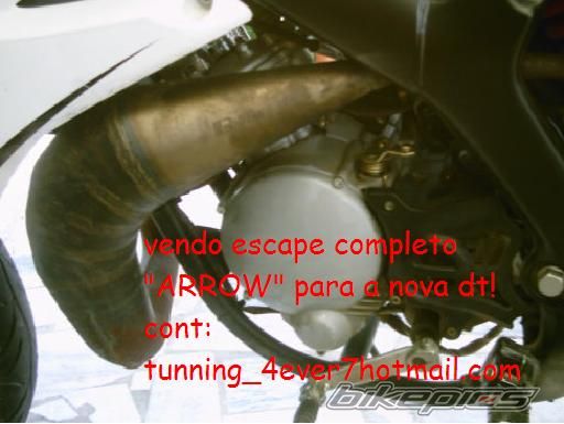 Photo 961923
