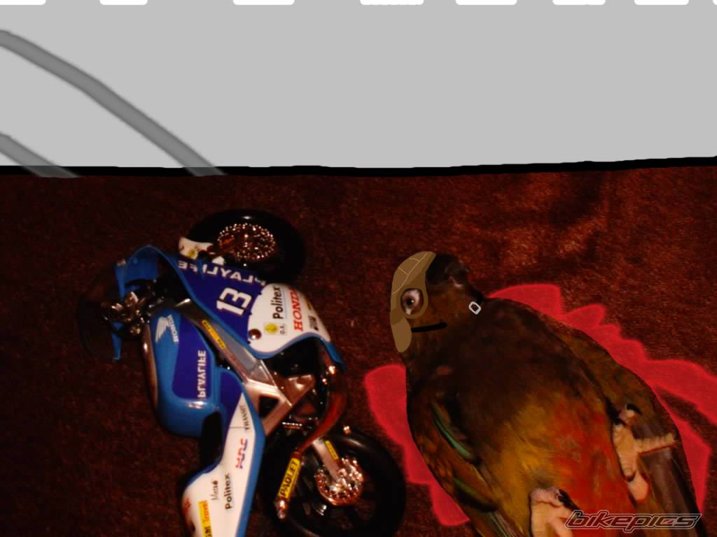 Bike Photo 96196