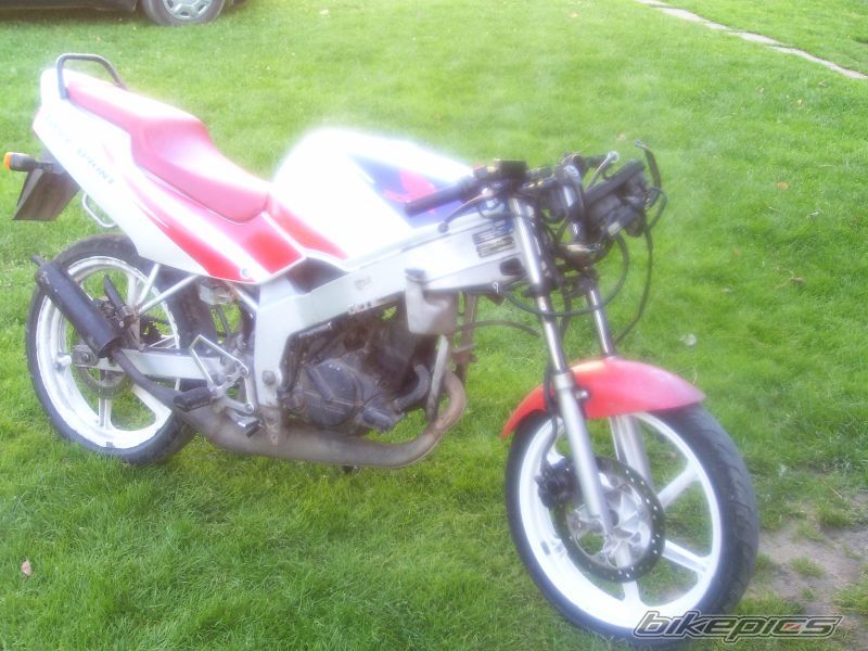 Photo 962256