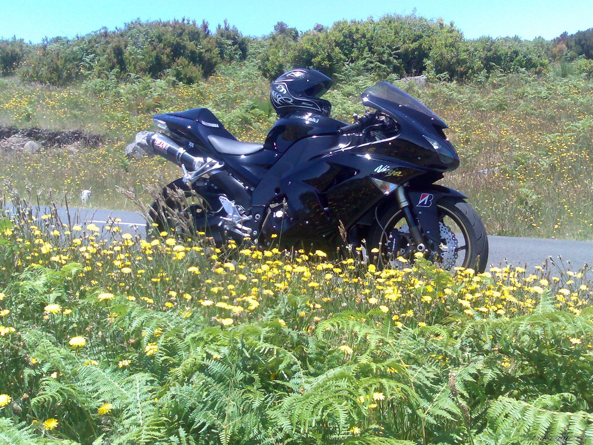 Photo 962393